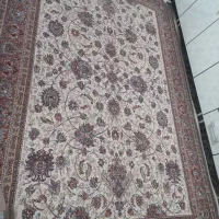 فرش|فرش|شاهنجرین, |دیوار