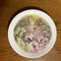 دیوارکوب های انتیک انگلیسی|کلکسیون اشیاء عتیقه|تهران, اکباتان|دیوار