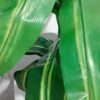 تغییر خانه با یک گل زیبا