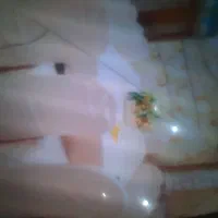 تالار ورستوران ساحل