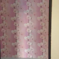 اجاره آپارتمان ۸۰ متری ۲ خوابه طبقه ۲ در نظام دوست|اجارهٔ آپارتمان|مشهد, نظام دوست|دیوار