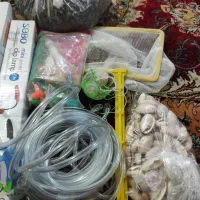 لوازم آکواریوم