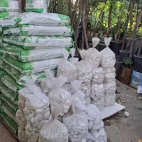 باغبانی درب منزل رسیدگی به باغچه وگلدون آپارتمانی|خدمات باغبانی و درختکاری|تهران, شهرک غرب|دیوار