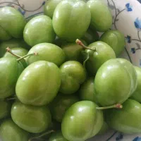 آلوچه درشت و لذیذ سردرود((بویری الچه))