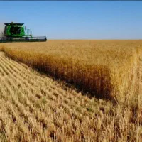 فروش زمین کشاورزی دیم درشهرشیرین سو