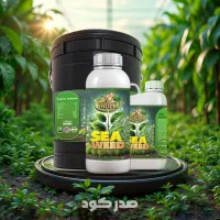 اورجینال کود