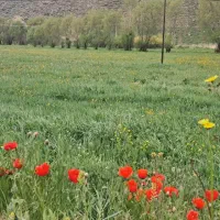 پیاده روی کنار زاینده رود از ناژوان تا تارتان.شنا
