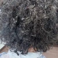 کراتین،پروتئین،پاکسازی،بند،رنگ