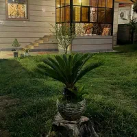 اجاره سالانه ویلایی دو خواب حیاط دربست