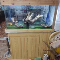 اکواریوم شرکتی