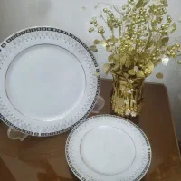 بشقاب پلو خوری و پیش دستی چینی|ظروف سرو و پذیرایی|رباط‌کریم, رباط‌کریم|دیوار