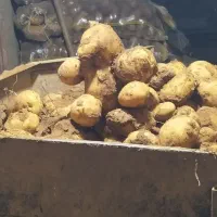کارگر|استخدام صنعتی، فنی، مهندسی|سنندج, |دیوار