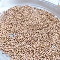 لوبیا ریز آشی کیلویی ۱۶۰