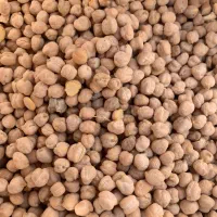 نخود تازه|خوردنی و آشامیدنی|الوند, |دیوار