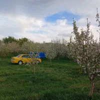 تاکسی ۱۴۰۱ سورن پلاس