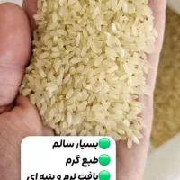 آرد برنج کامفیروزی