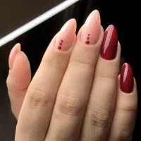 مدل کاشت و ترمیم