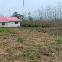 42000هزارمتر باغی مسکونی استخر گیلان|فروش خانه و ویلا|احمدسرگوراب, |دیوار