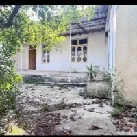 خونه حیاط دار۳۶۰متری بافت مسکونی نزدیک خیابان اصلی|فروش خانه و ویلا|دابودشت, |دیوار