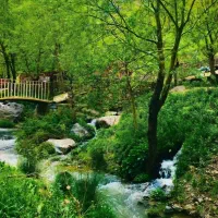 تور گردشگری بوژان نیشابور