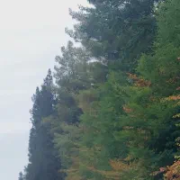 کوهنوردی طبعیت گردی