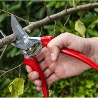 خدمات باغداری