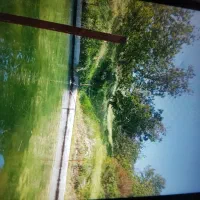 اجاره زمین کشاورزی