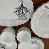 مدل ارکوپال نو|ظروف سرو و پذیرایی|تهران, آبشار|دیوار