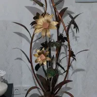 آباژور در حد نو