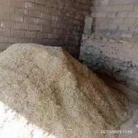 کاه سبزه یه چین کوفته شده کزاز