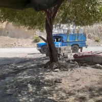 پخش کاه گندموکاه جو دیم سفید نرم ریز.پیک رایگان|حیوانات مزرعه|مسجد سلیمان, |دیوار