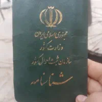 شناسنامه پیداشده