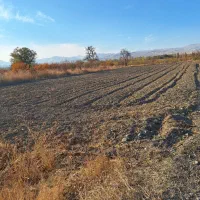 زمین کشاورزی جاده چناقلو|فروش زمین و ملک کلنگی|نوشین شهر, |دیوار