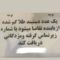 دستبند النگویی طلا گم کردم