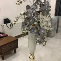 گل ارکیده