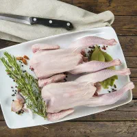 بلدرچین کوهی کحلیح