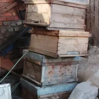 کندو|حیوانات مزرعه|قرق, |دیوار