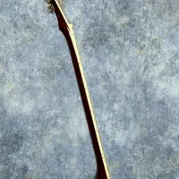 گیتار  الکتریک LTD ec256|گیتار، بیس، امپلیفایر|اسلام‌شهر, شهرک مفیدی|دیوار