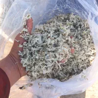 فروش تفاله چغندر،وتفاله سیب