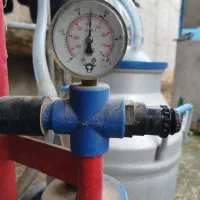 شیر تازه گاو