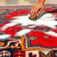 قالیشویی ومبل شویی ممتازدستی(شوی)