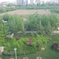 زمین-سکه-سند-تک-برگ-10-متر-بر-پیشروی-90درصد