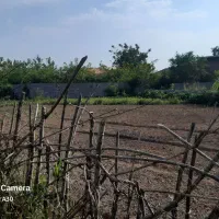 زمین-باغی-مسکونی