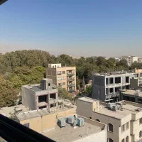 ده ونک، ۱۰۱ متری بدون مشرف و ویو