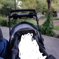 کالسکه دلیجان مدل بنیتا