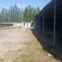 فروش فوری دامداری ۵۰۰ راسی|فروش دفتر صنعتی، کشاورزی، تجاری|خوی, |دیوار