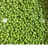 نخود فرنگی تازه