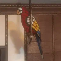 اویز طوطی ماکائو