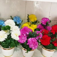 گلسرای سلمان