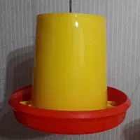 لوازم مرغداری (ستاره)طیور بوقلمون